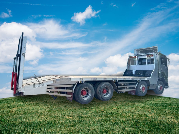 S__16285739_0-removebg-preview-1-12