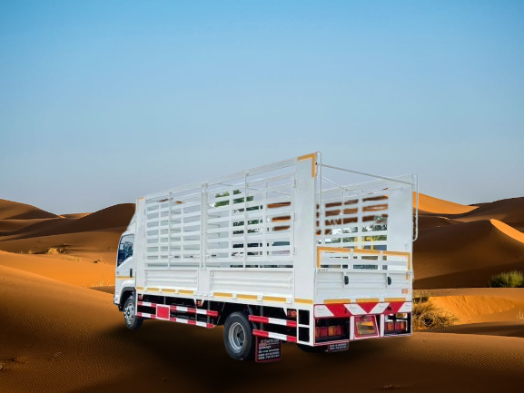 S__16638249-removebg-preview-1-20