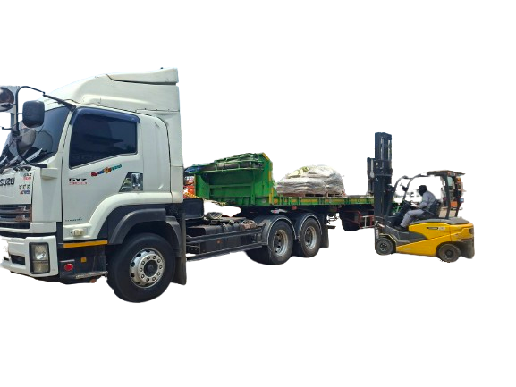 275976-removebg-preview-22